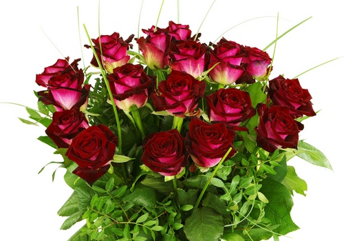 Ideaal Verstenen heilige Boeket met 20 rode rozen bestellen en bezorgen bij BoeketCadeau.nl