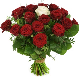 Draaien Stratford on Avon Rauw Rode rozen met één witte roos bestel je bij BoeketCadeau.nl
