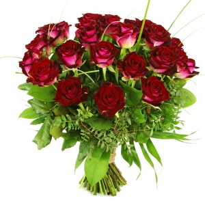 Een nacht Sluipmoordenaar Roos Rode rozen, maar liefst 25 rode rozen bij BoeketCadeau.nl