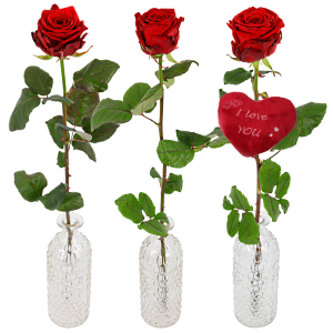 as melk wit Leerling 1 Rode Valentijn roos + Rozenvaas bestel je Bij BoeketCadeau.nl