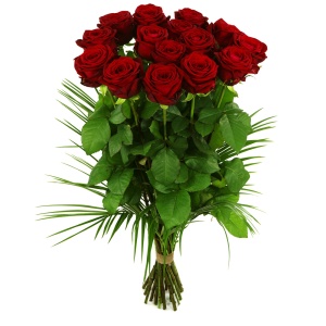 15 Lange rode rozen
ca. 70 - 80 cm lang