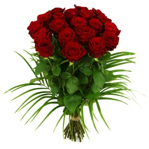 20 Lange rode rozen
ca. 70 - 80 cm