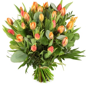 Paasboeket
Oranje tulpen