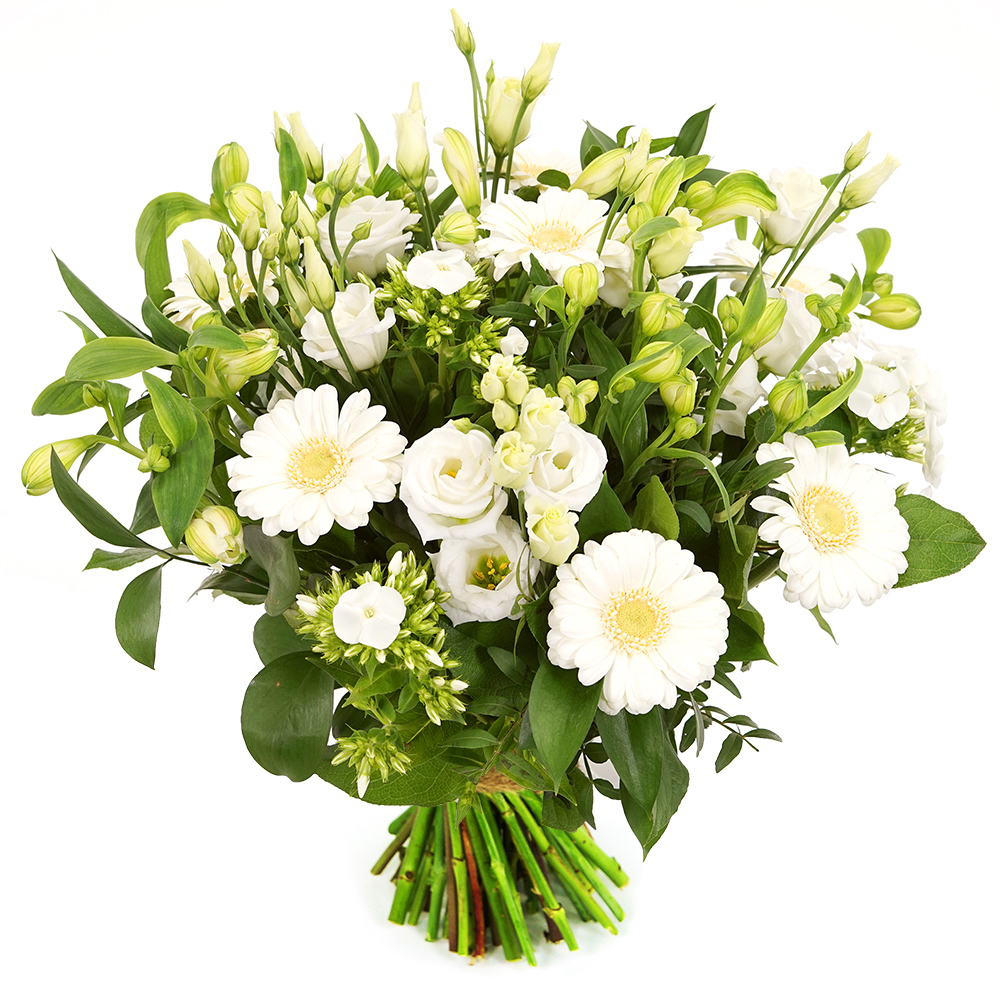 Witte bloemen boeket