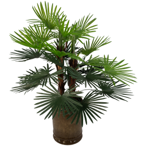 Palmboom
↕ 90cm x  Ø 70cm