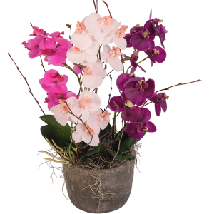 Zijde orchideeën
ca. ↕ 42cm x  Ø 26cm