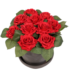 Rode rozen in pot
H 17cm x B 24cm