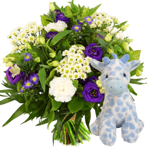 Geboorte boeket +
blauwe knuffel giraffe