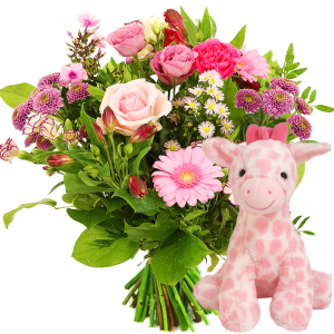 Geboorte bloemen +
roze knuffel giraffe