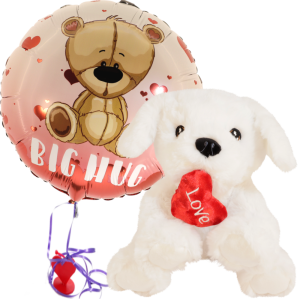 Knuffelhond met hart
+ ballon Big hug