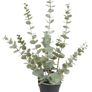 Eucalypthus kunstplant
H 57cm x B 33cm