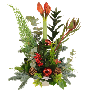 Kerststuk met 1 Amaryllis
ca. 60 cm hoog