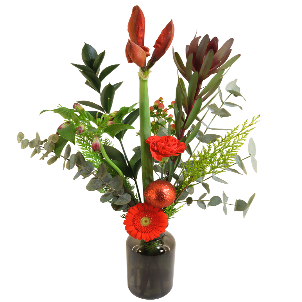 Kerstbloemen rood o.a. Amaryllis inclusief glazen vaas
