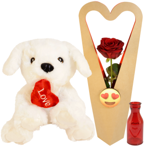 Rode roos in sierlijke
+ knuffel hond